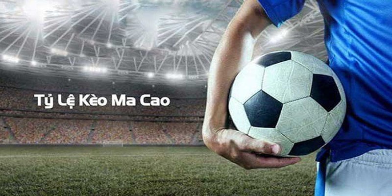 Cách để xem tỷ lệ kèo macao đồng banh tại Go88