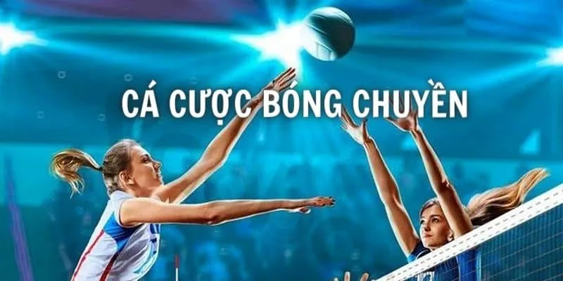 Cược thắng toàn trận bóng chuyền tại Go88